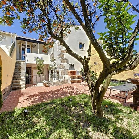 Villa Victoria Caminha Εξωτερικό φωτογραφία